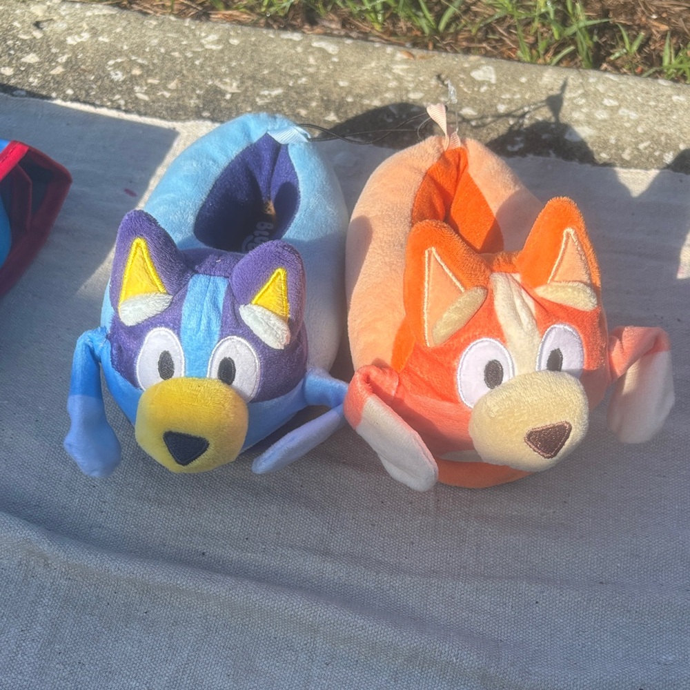 Bluey & Bingo Slippers